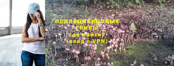 гашик Михайлов
