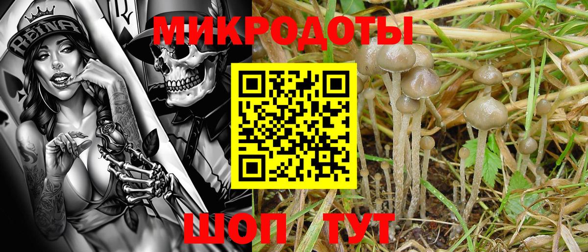 Галлюциногенные грибы ЛСД Новошахтинск