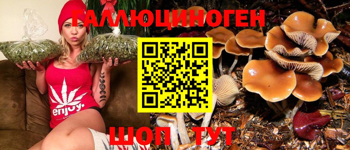 Галлюциногенные грибы Magic Shrooms  Вход с VPN  Галлюциногенные грибы прущие грибы  Новошахтинск 
